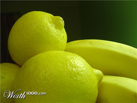 Photography by easwar123