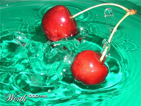 Photography by mzmzmzmz