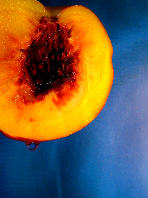 Fotografie von LADPUPMOE für DesignCrowd (Community Contests) | Design #9064313