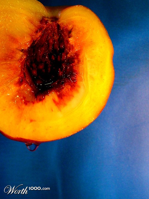 Photography by LADPUPMOE