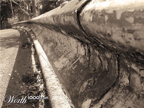 Photography by Jellybellybeans