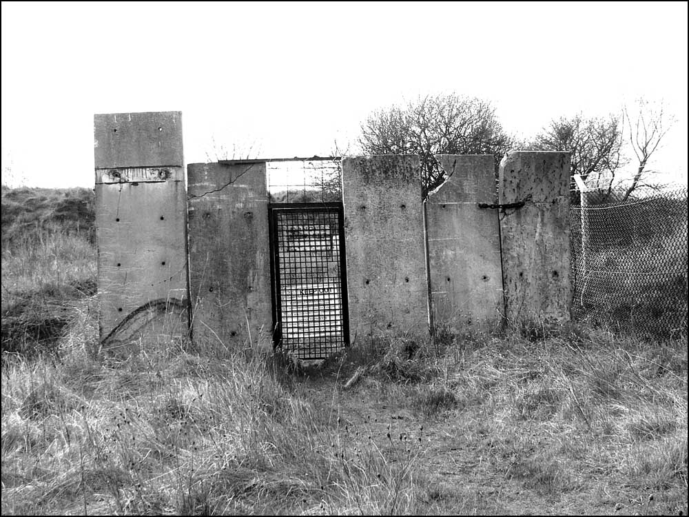 Fotografía por AceClown para DesignCrowd (Community Contests) | Diseño #9076768