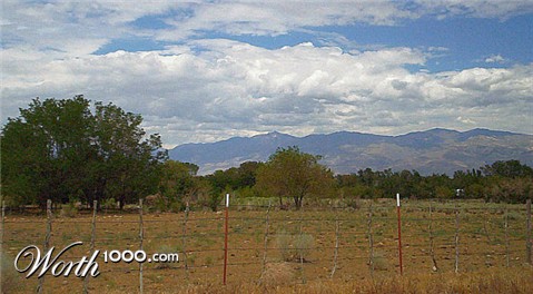 Photography by tlovesd