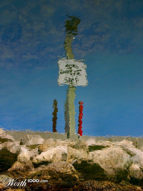 Photography by KarenC