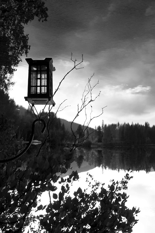 Photography by nowheregirl for DesignCrowd (Community Contests) | Design #9072352