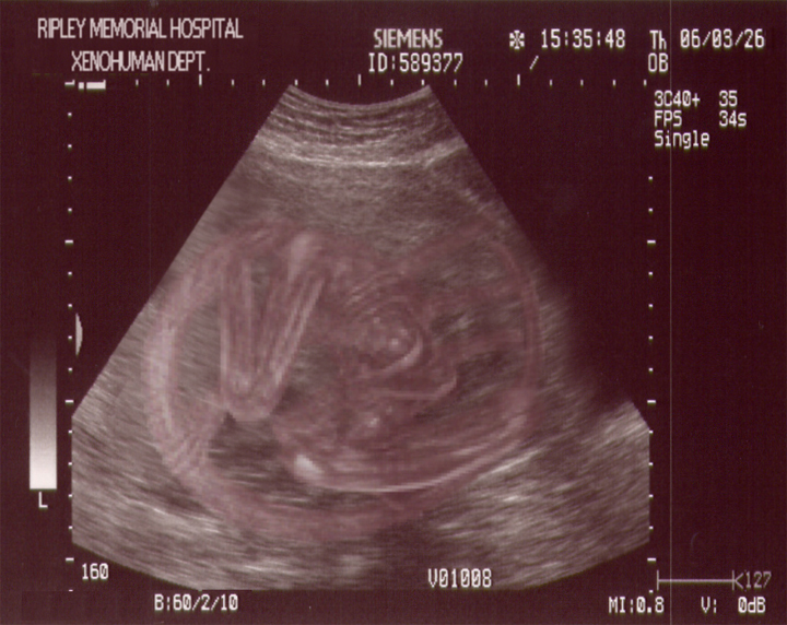 Diseño de Photoshop por fxchick para DesignCrowd (Community Contests) | Diseño #9072558