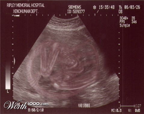 Photoshop Design by fxchick