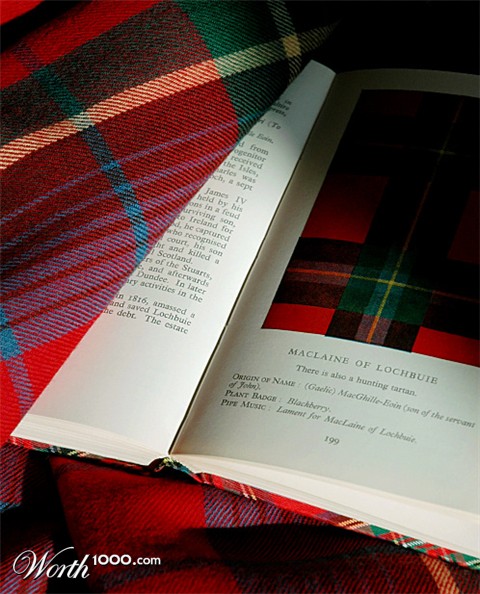 Photography by koalachimbo