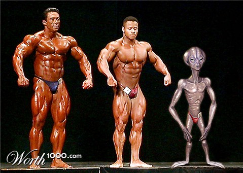 Photoshop Design by muliboy