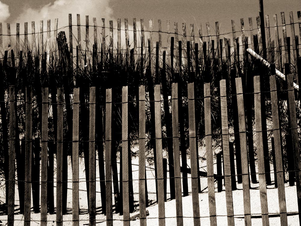 Fotografía por pbennett para DesignCrowd (Community Contests) | Diseño #9076781