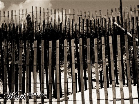 Photography by pbennett