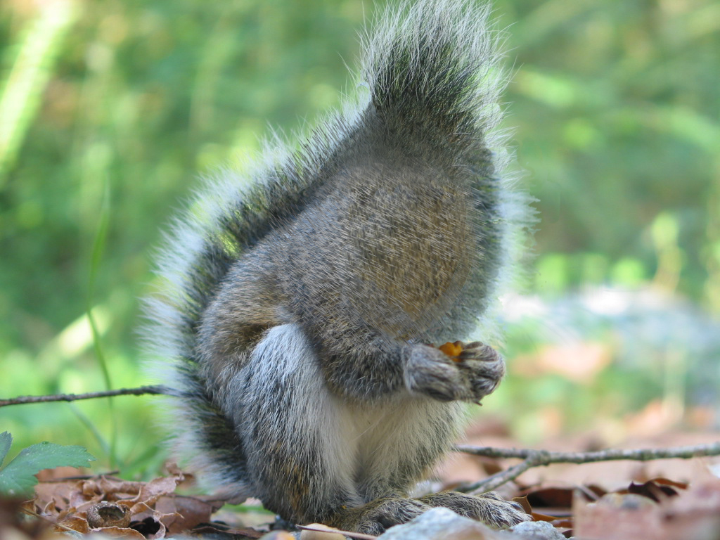 Photoshop Design by Ventrix for DesignCrowd (Community Contests) | Design #9074452