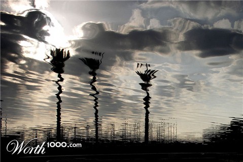 Photography by aridolan