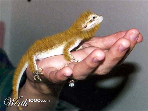 Photoshop Design by Adrune