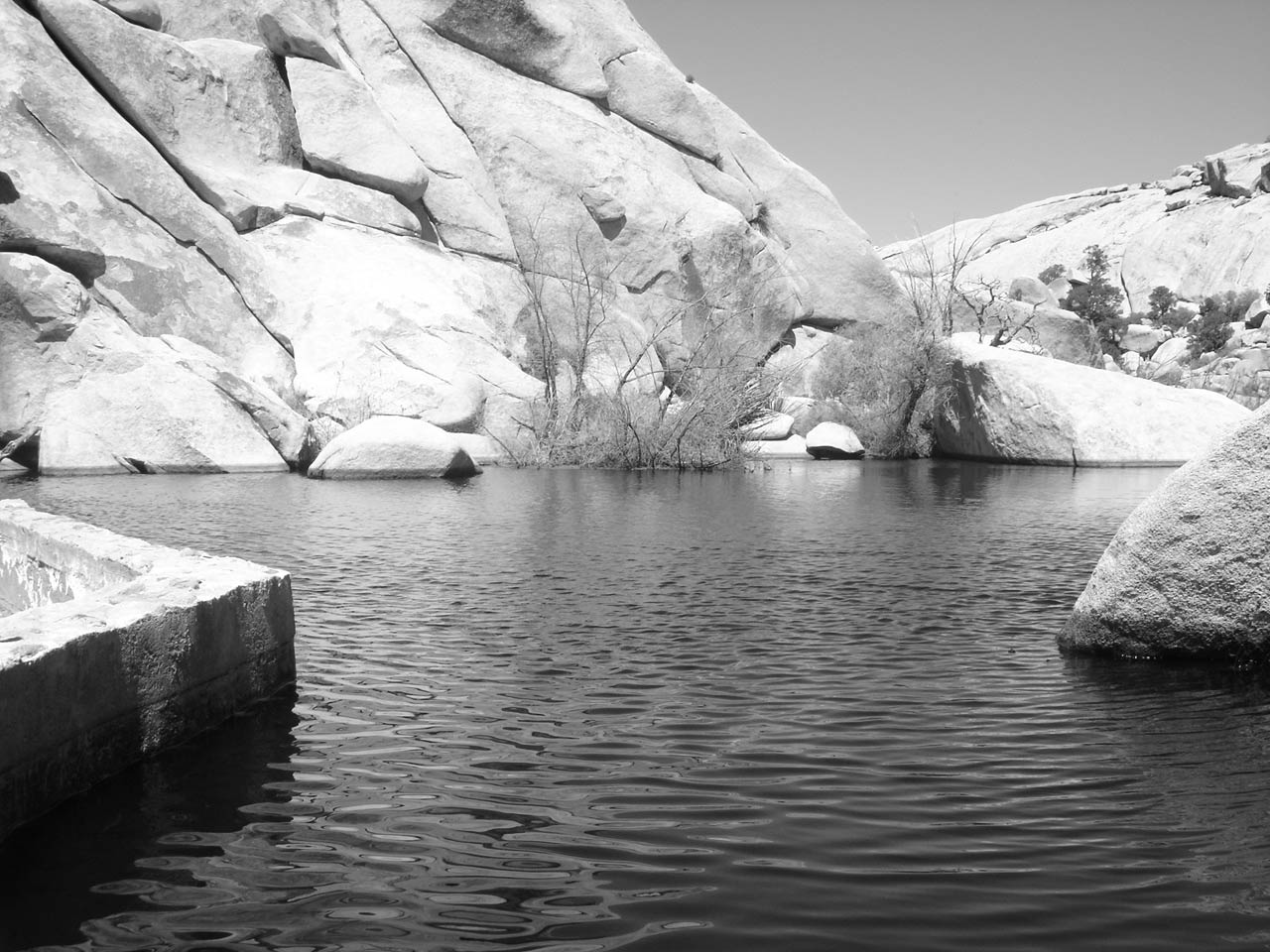 Photography by stayceejae for DesignCrowd (Community Contests) | Design #9076798