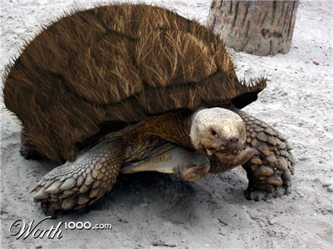 Photoshop Design by m0nkfish