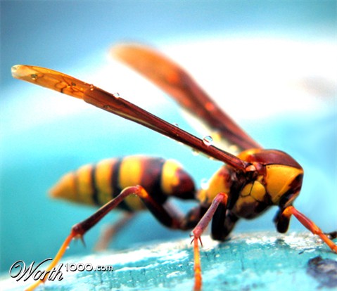 Photoshop Design by deotrip