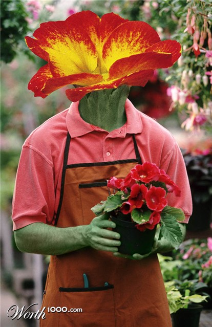 Photoshop Design by Fedorov