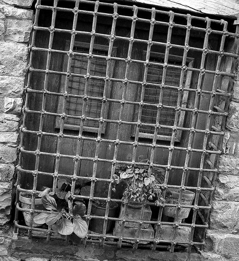 Photographie par jandreu pour DesignCrowd (Community Contests) | Design #9076795