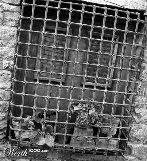 Photography by jandreu