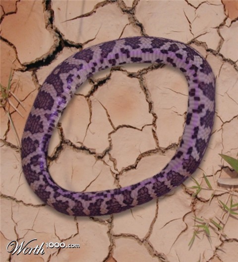 Photoshop Design by SoupDragon