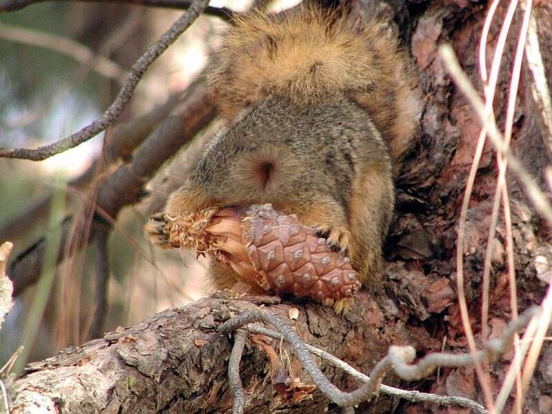 Diseño de Photoshop por sloanyo para DesignCrowd (Community Contests) | Diseño #9074542