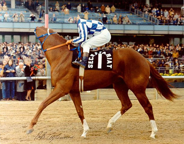 Photoshop Design by jcrunk for DesignCrowd (Community Contests) | Design #9074618