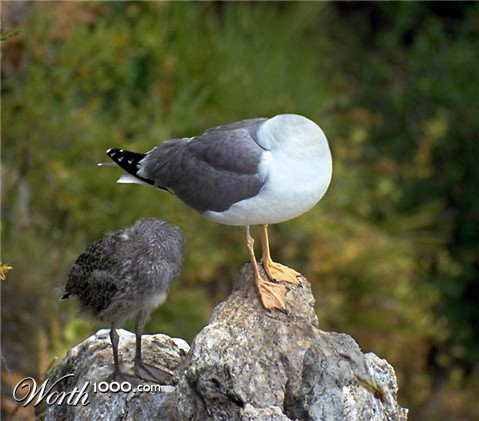 Photoshop Design by andres0076