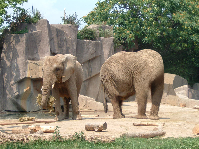 Photoshop Design by pjdietz for DesignCrowd (Community Contests) | Design #9074593