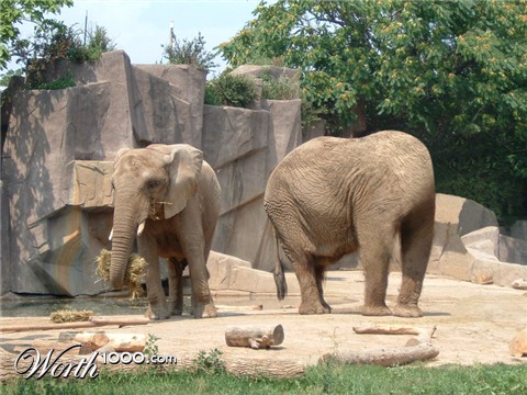 Photoshop Design by pjdietz