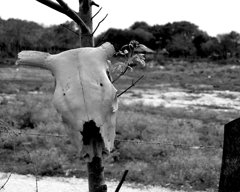 Fotografie von koshermonkey für DesignCrowd (Community Contests) | Design #9076786