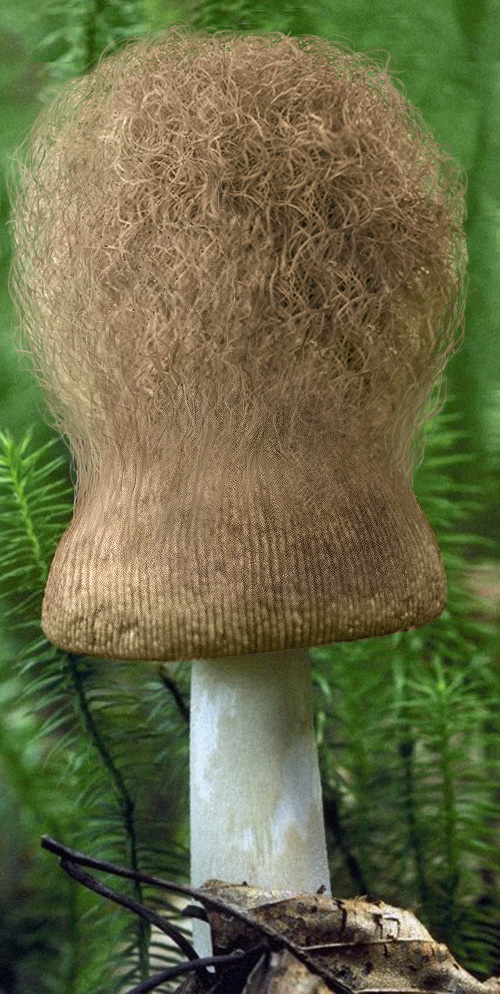 Diseño de Photoshop por DestinationCreation para DesignCrowd (Community Contests) | Diseño #9066095