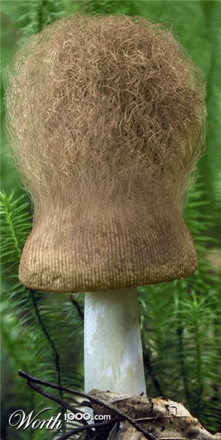 Photoshop Design by DestinationCreation