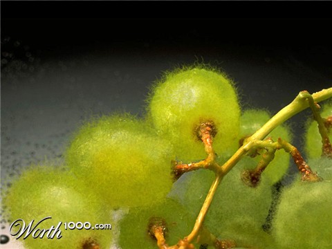 Photoshop Design by tonettonet