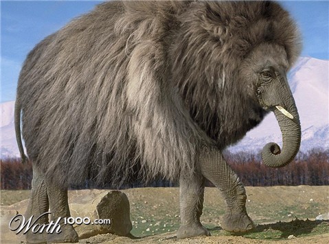 Photoshop Design by Fedorov