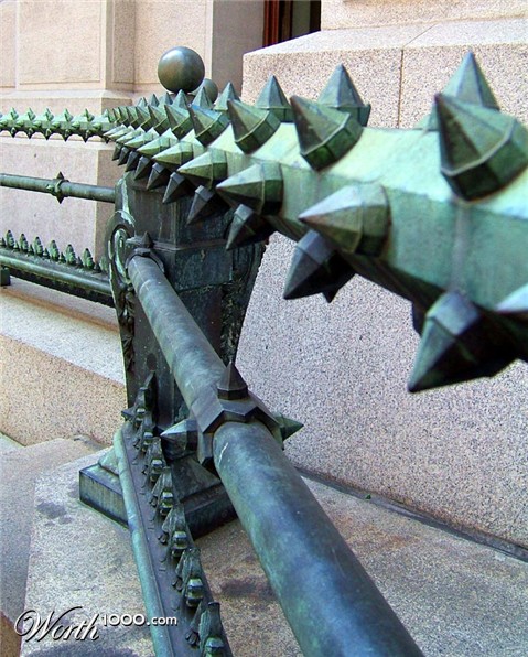 Photography by copr369