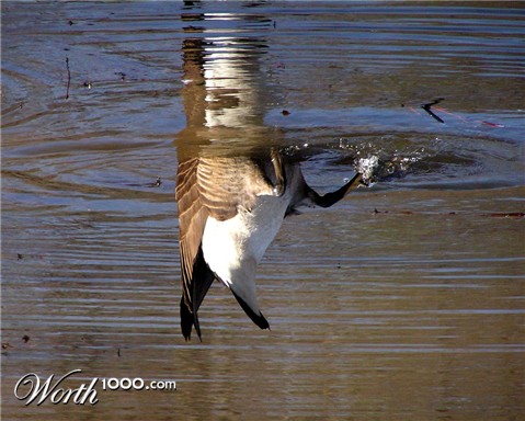 Photography by Tommy1de