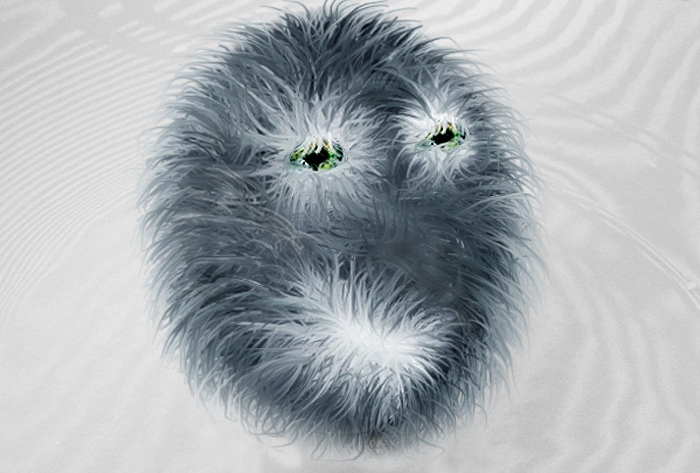 Photoshop Design by bennn2 for DesignCrowd (Community Contests) | Design #9066173