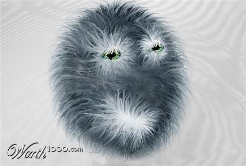 Photoshop Design by bennn2