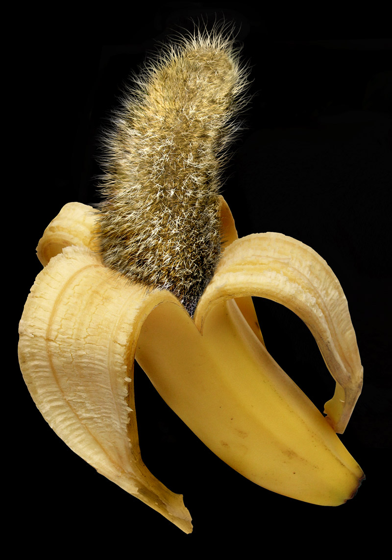 Photoshop Design by Norrit for DesignCrowd (Community Contests) | Design #9066126