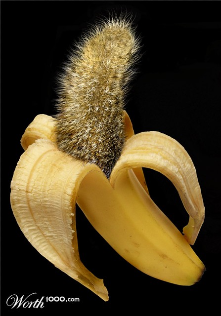 Photoshop Design by Norrit