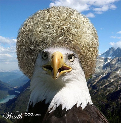 Photoshop Design by irishbryan