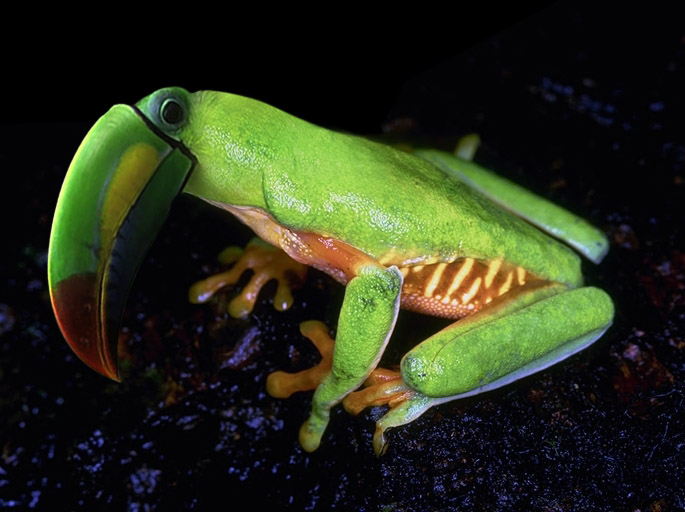 Photoshop Design by exorcist for DesignCrowd (Community Contests) | Design #9069797