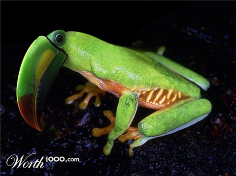 Photoshop Design by exorcist