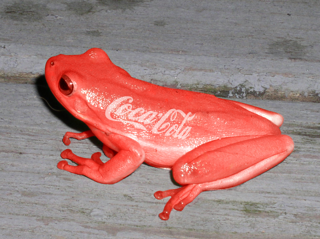 Diseño de Photoshop por mulambo para DesignCrowd (Community Contests) | Diseño #9069831