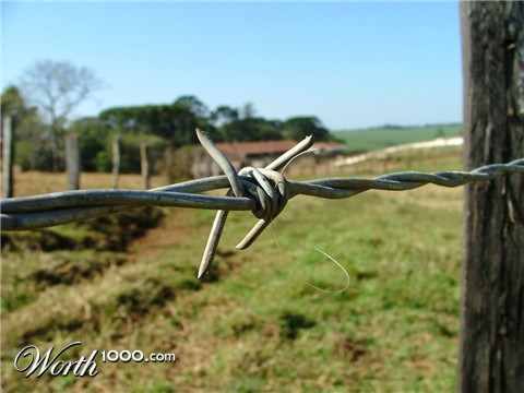 Photography by ADROALDO