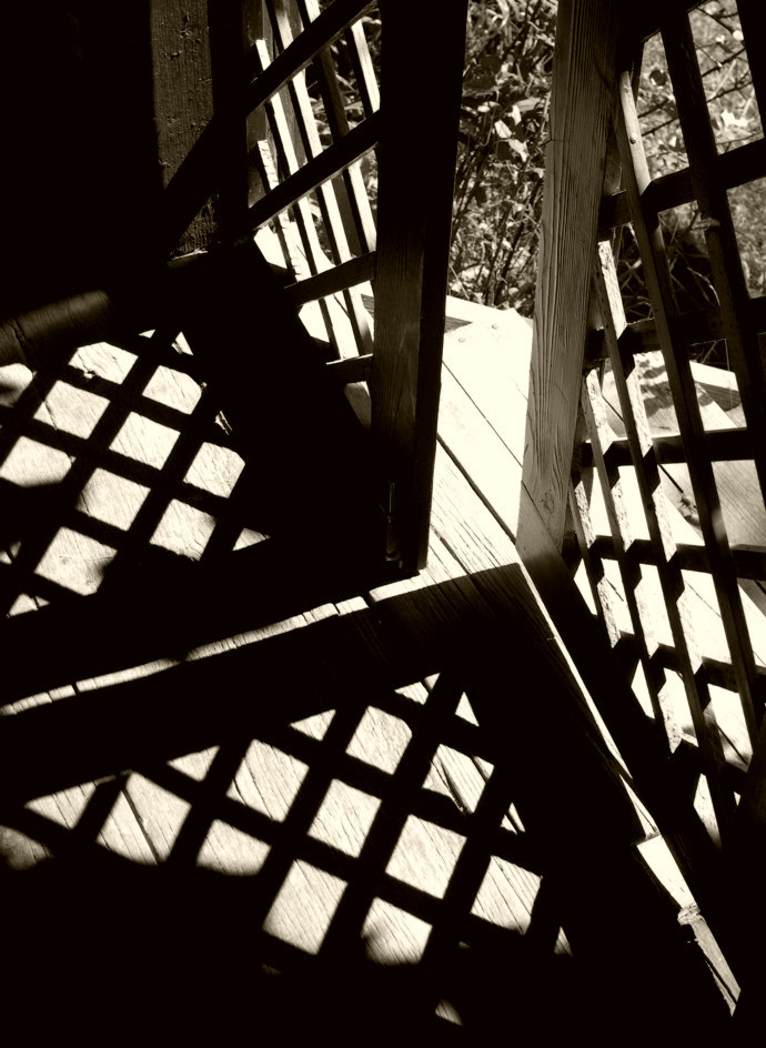 Photography by ruxa2na for DesignCrowd (Community Contests) | Design #9076838