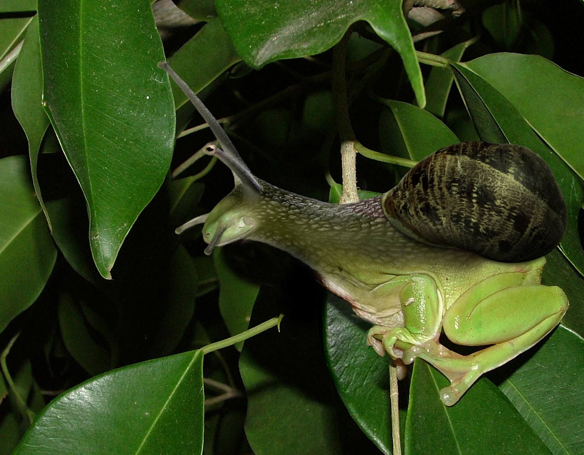 Diseño de Photoshop por Ryun para DesignCrowd (Community Contests) | Diseño #9069810