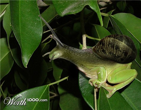 Photoshop Design by Ryun