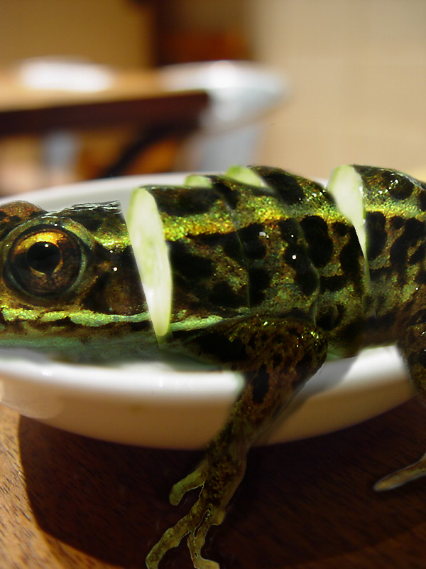 Photoshop Design by bingobaby for DesignCrowd (Community Contests) | Design #9069851